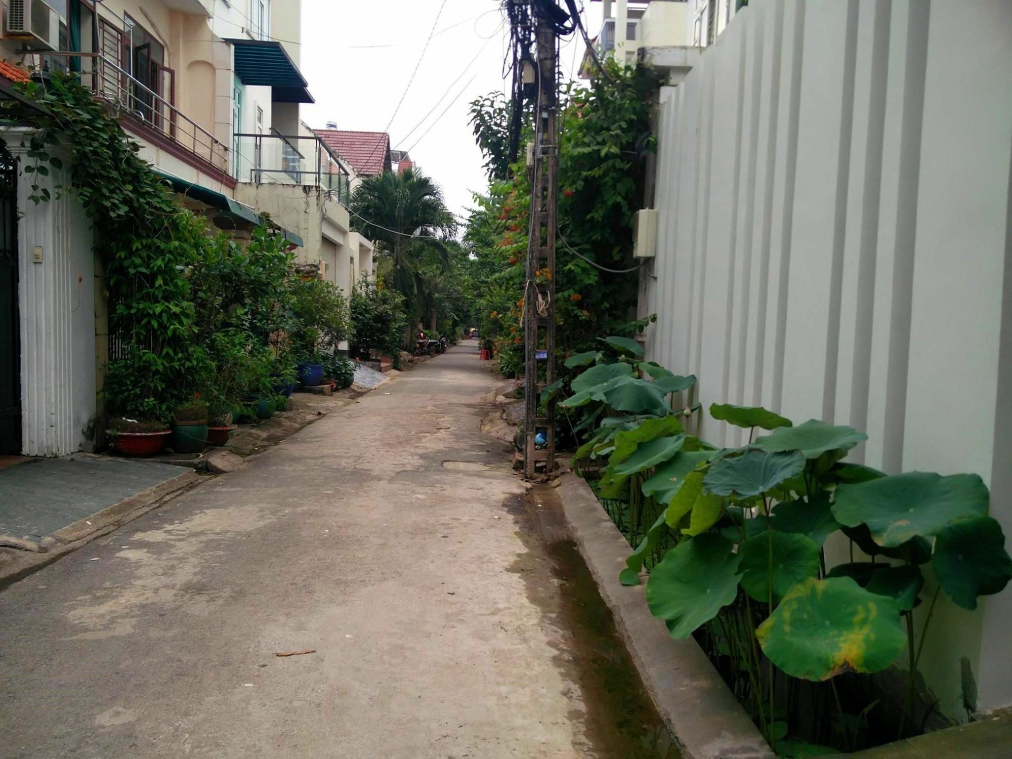 Sen Boutique House By 5H Appartement Ho Chi Minh-stad Buitenkant foto