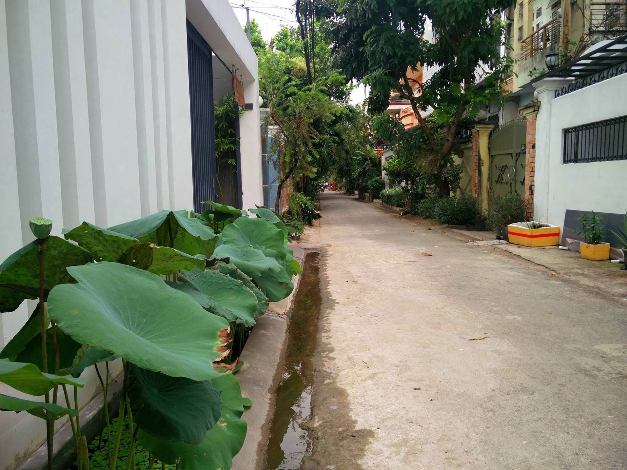 Sen Boutique House By 5H Appartement Ho Chi Minh-stad Buitenkant foto